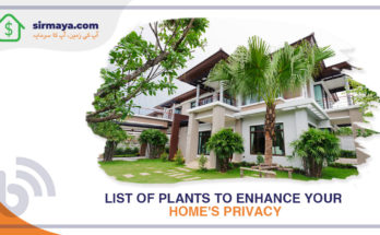 List of Plants to Enhance Your Home's Privacy and Curb Appeal