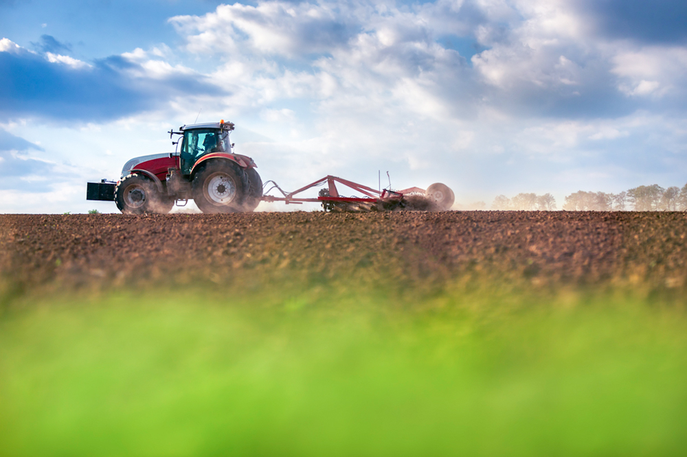 agricultural land