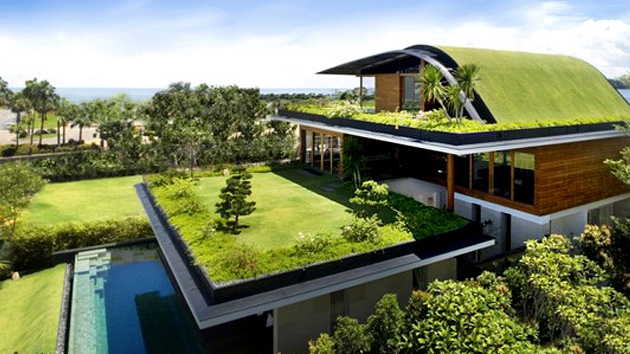 green roofs